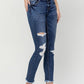 Haylie High Rise Skinny